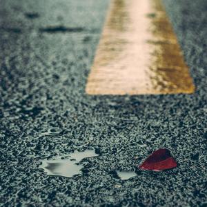 美女穿白丝给我操的免费视频
