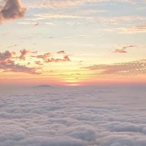 美女穿白丝给我操的免费视频
