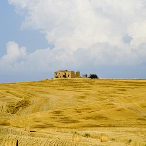 美女穿白丝给我操的免费视频
